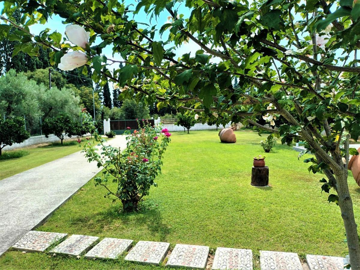 PlatanidiaZenia Pelion Garden House别墅 外观 照片